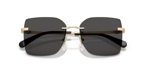 Shiny Light Gold / Grey Solid (900587)