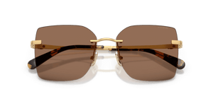 Shiny Gold / Brown Solid (944113)
