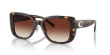 Dark Tortoise / Dark Brown Gradient (512013)