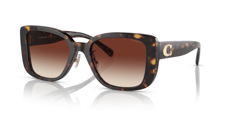 Dark Tortoise / Dark Brown Gradient (512013)