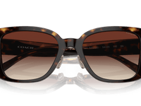 Dark Tortoise / Dark Brown Gradient (512013)