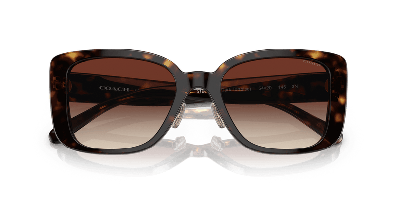 Dark Tortoise / Dark Brown Gradient (512013)-swatch