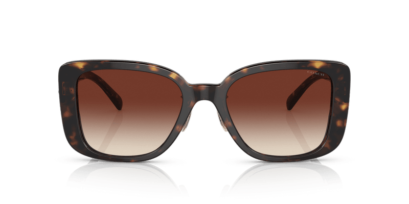 Dark Tortoise / Dark Brown Gradient (512013)-variant-image