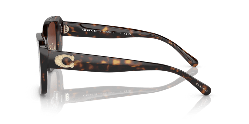 Dark Tortoise / Dark Brown Gradient (512013)-variant-image