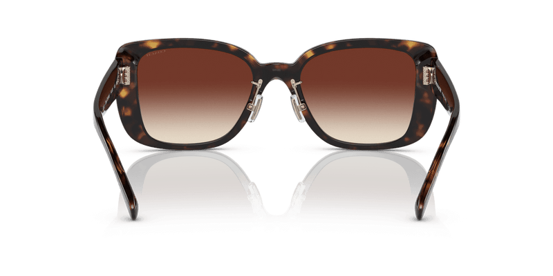 Dark Tortoise / Dark Brown Gradient (512013)-variant-image