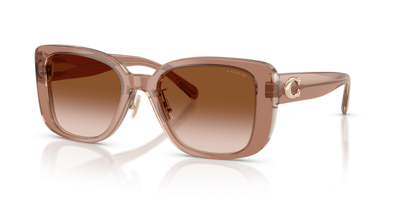 Brown/Grey / Brown Gradient (577913)