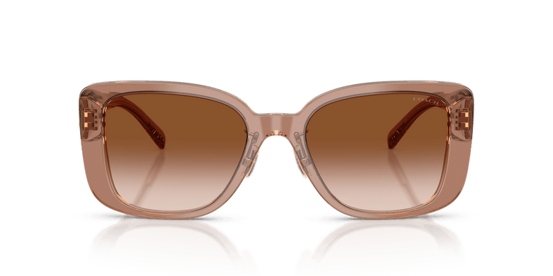 Brown/Grey / Brown Gradient (577913)-variant-image