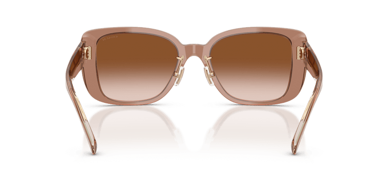 Brown/Grey / Brown Gradient (577913)-variant-image