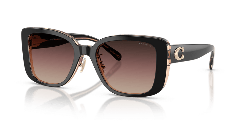 Black/Blush / Brown Purple Gradient (5781E2)