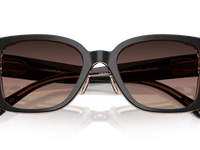 Black/Blush / Brown Purple Gradient (5781E2)