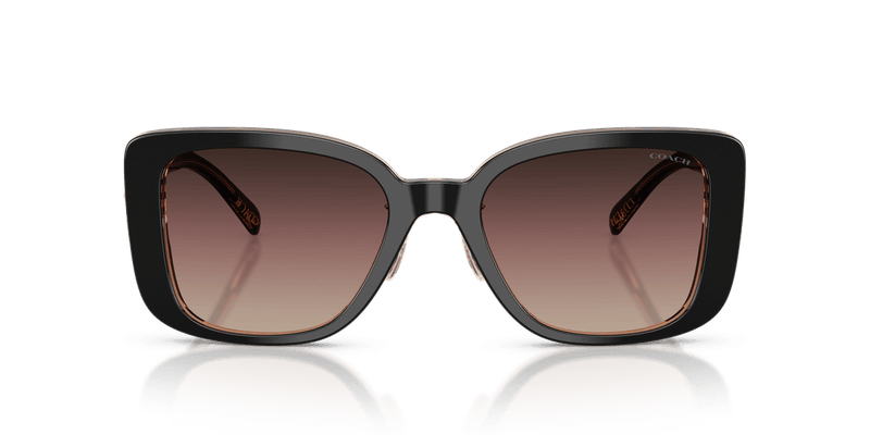 Black/Blush / Brown Purple Gradient (5781E2)-variant-image