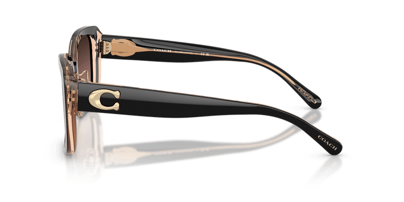 Black/Blush / Brown Purple Gradient (5781E2)-variant-image