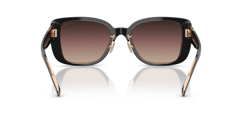 Black/Blush / Brown Purple Gradient (5781E2)-variant-image