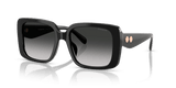 Black / Grey Gradient