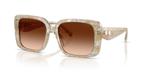 Pearlized Brown Watercolor / Brown Gradient