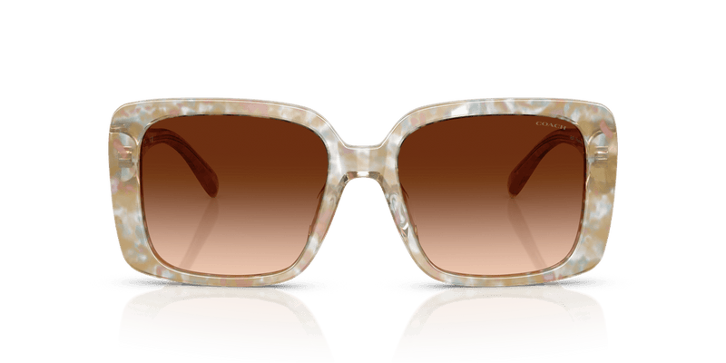 Coach CAD54 HC8424U in Pearlized Brown Watercolor / Brown Gradient - Alternate View