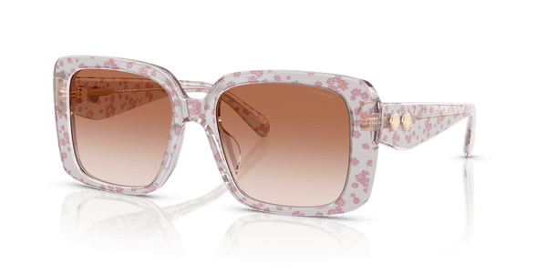 Coach CAD54 HC8424U