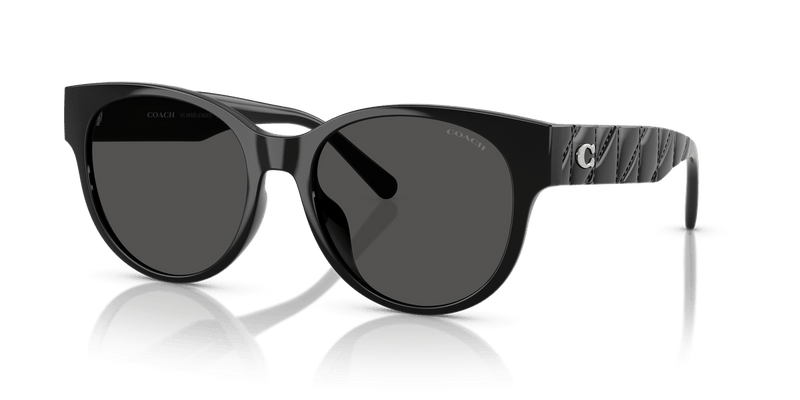 Coach CAE87 HC8430D in Black / Grey Solid - Alternate View