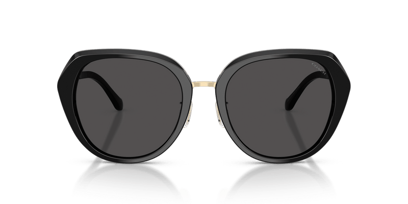 Coach CBY93 HC8436 in Black / Grey Solid - Temple Detail