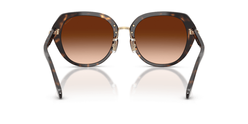 Coach CBY93 HC8436 in Dark Tortoise / Brown Gradient - Alternate View
