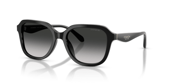 Coach CBY89 HC8437F - Black / Grey Gradient