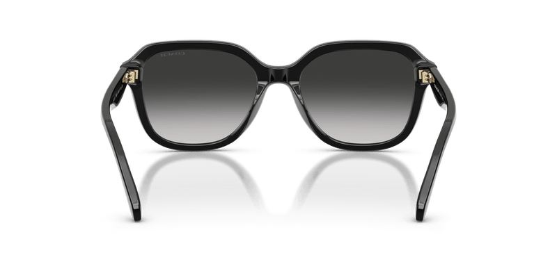 Coach CBY89 HC8437F in Black / Grey Gradient - Back View