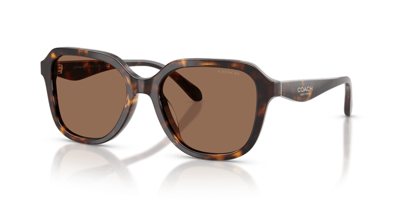 Coach CBY89 HC8437F in Dark Tortoise / Brown Solid - Alternate View