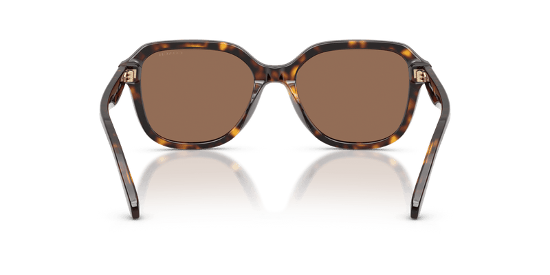 Coach CBY89 HC8437F in Dark Tortoise / Brown Solid - Alternate View