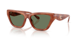 Caramel Tortoise / Green Solid (577482)