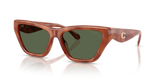 Caramel Tortoise / Green Solid Polarized (57749A)
