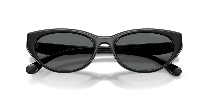 Coach CDP42 HC8456D in Black / Grey Solid Polarized (500281) - Alternate View