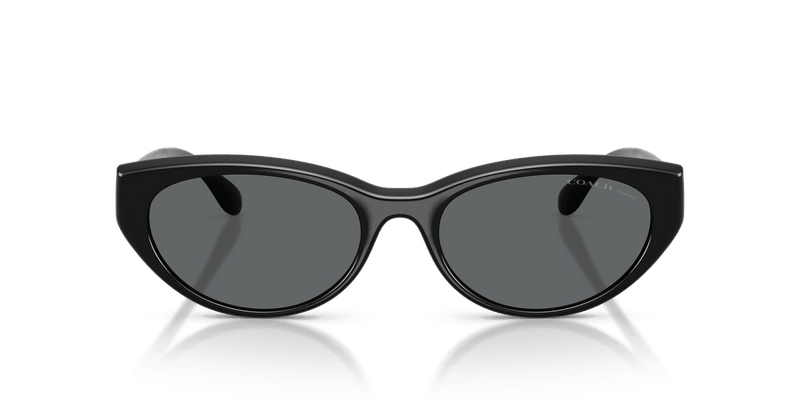 Coach CDP42 HC8456D in Black / Grey Solid Polarized (500281) - Alternate View