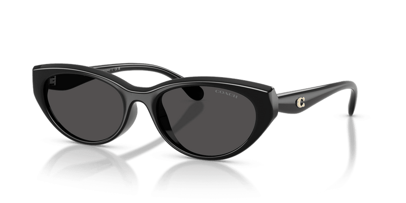 Coach CDP42 HC8456D in Black / Grey Solid (500287) - Alternate View