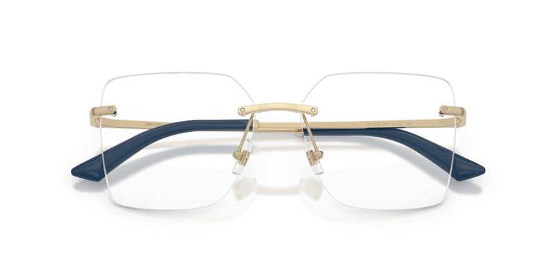Jimmy Choo JC2020B in Pale Gold (3027) (3027) - Alternate View