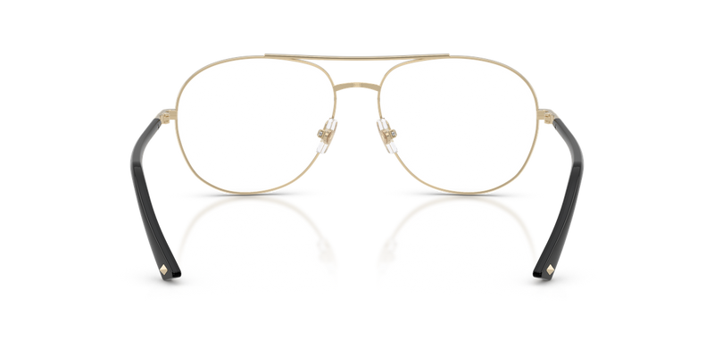 Jimmy Choo JC2021 in Pale Gold (3006) (3006) - Alternate View