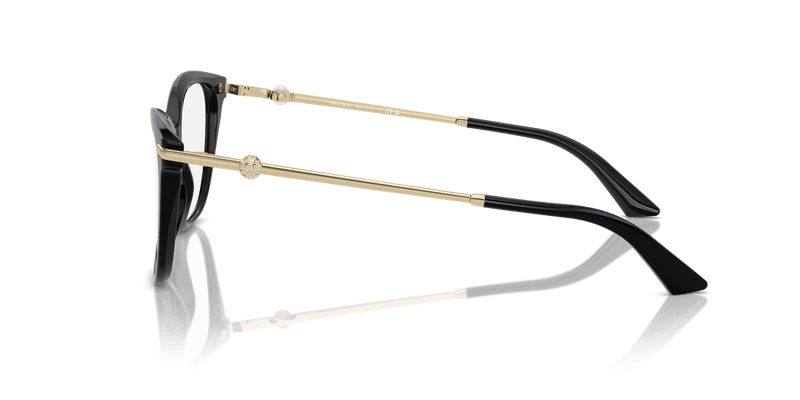 Jimmy Choo JC3007HB in Black / Demo Lens - Alternate View