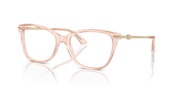 Jimmy Choo JC3007HB