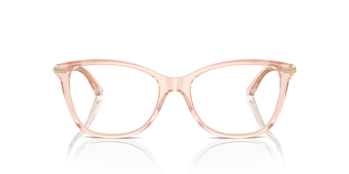 Jimmy Choo JC3007HB