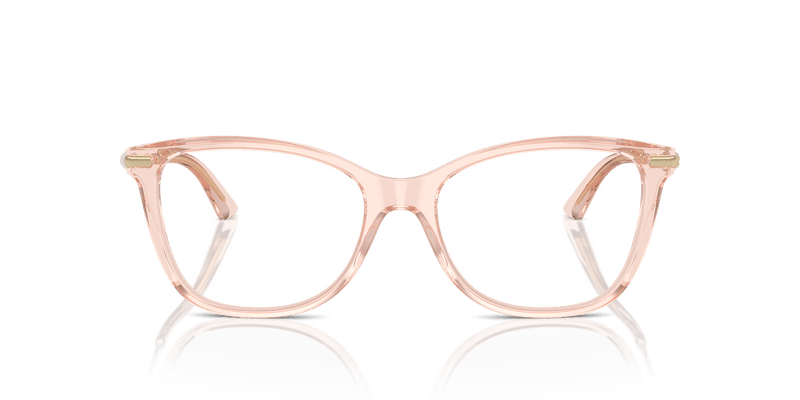 Jimmy Choo JC3007HB in Transparent Pink / Demo Lens - Temple Detail