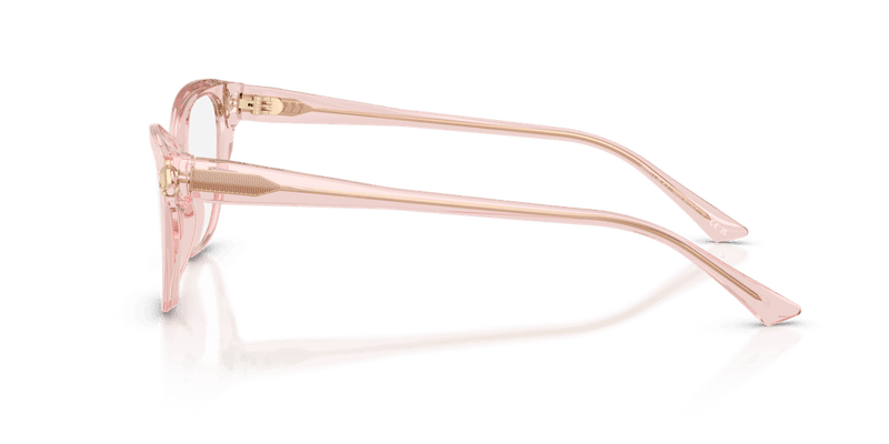 Jimmy Choo JC3011 in Transparent Pink (5034) - Temple Detail
