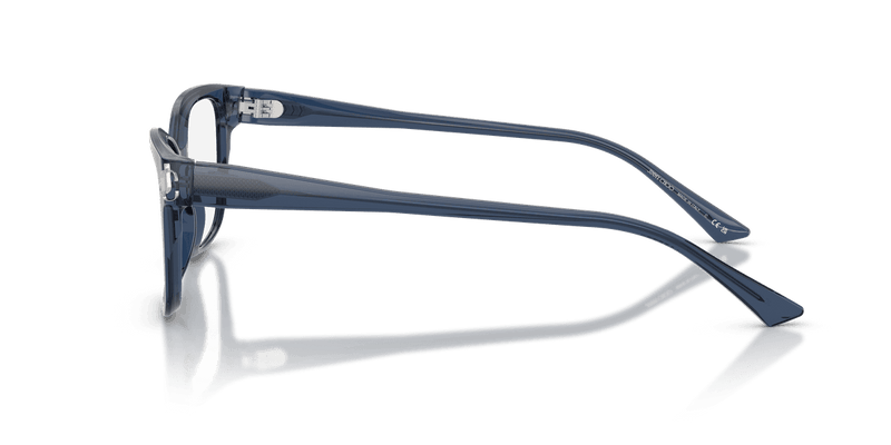 Jimmy Choo JC3012 in Transparent Navy (5035) - Alternate View