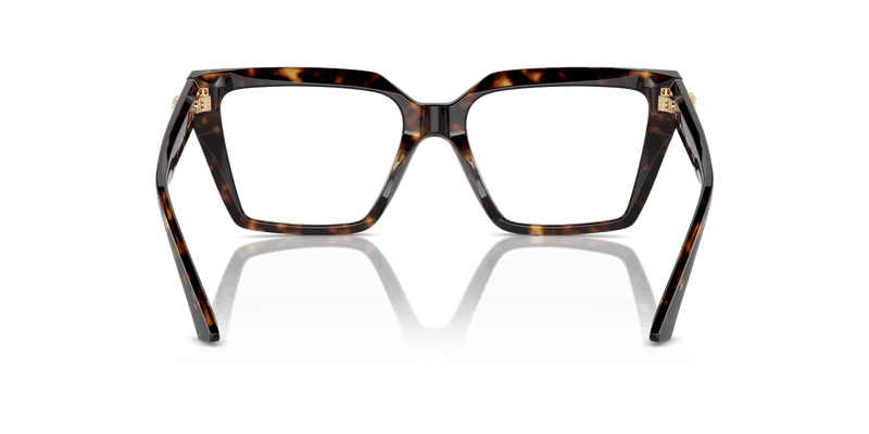 Jimmy Choo JC3017U in Havana / Demo Lens - Alternate View