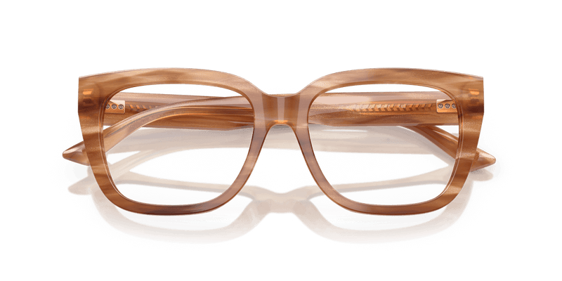 Jimmy Choo JC3019B in Striped Havana Glitter Brown (5055) - Alternate View