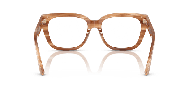 Jimmy Choo JC3019B in Striped Havana Glitter Brown (5055) - Alternate View