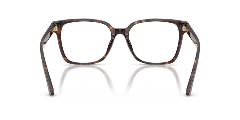 Jimmy Choo JC3038D in Havana / Demo Lens - Back View