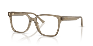 Transparent Brown / Demo Lens