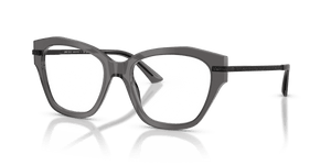 Transparent Black / Demo Lens