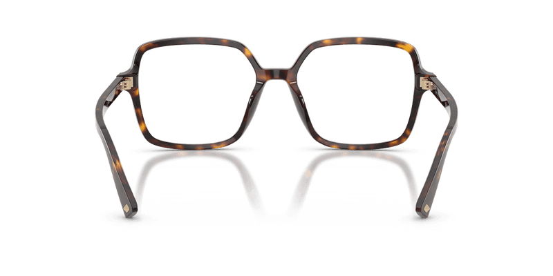 Jimmy Choo JC3046U in Havana / Demo Lens - Alternate View