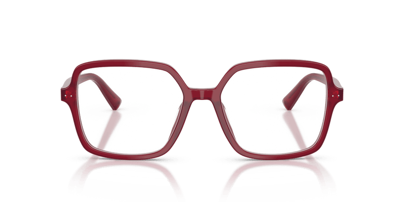 Jimmy Choo JC3046U in Opaline Cranberry / Demo Lens - Alternate View