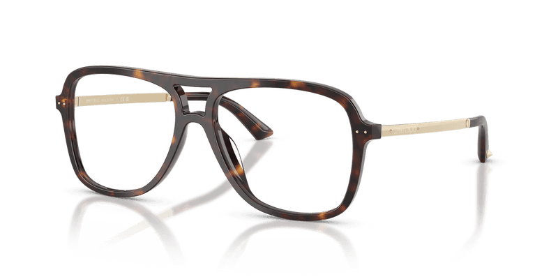 Jimmy Choo JC3052U in Havana (5002) - Alternate View